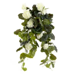 Geranium Bush Trail 60Cm Cream by Florabelle Living, a Plants for sale on Style Sourcebook