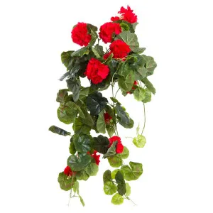Geranium Bush Trail 60Cm Red by Florabelle Living, a Plants for sale on Style Sourcebook