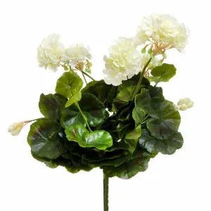 Geranium Bush 38Cm White by Florabelle Living, a Plants for sale on Style Sourcebook