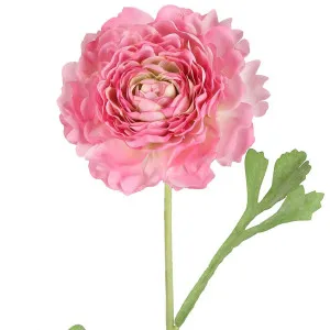 Ranunculus Stem 56Cm Pink by Florabelle Living, a Plants for sale on Style Sourcebook