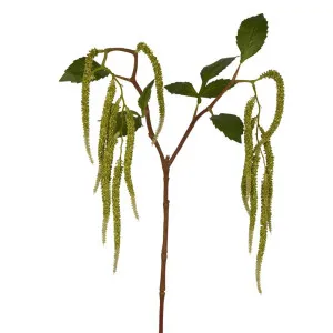 Amaranthus Hanging Plant 90Cm Green by Florabelle Living, a Plants for sale on Style Sourcebook