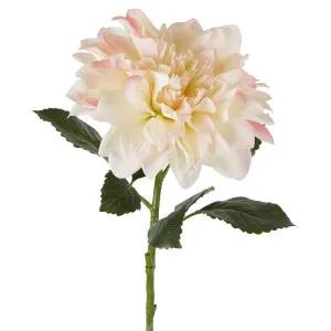 Giant Dahlia Stem 70Cm Ice Pink by Florabelle Living, a Plants for sale on Style Sourcebook