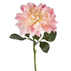 Giant Dahlia Stem 70Cm Pink by Florabelle Living, a Plants for sale on Style Sourcebook