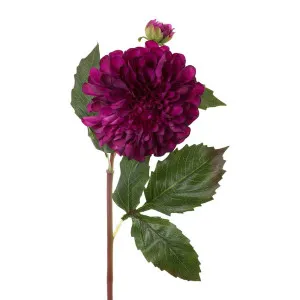 Dahlia Short Stem 50Cm Purple by Florabelle Living, a Plants for sale on Style Sourcebook