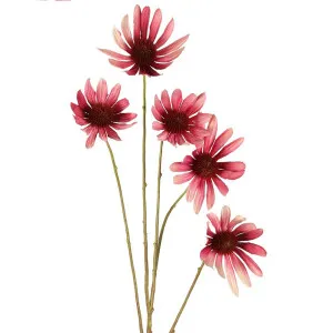 Black Eyed Susan Stem 82Cm Pink by Florabelle Living, a Plants for sale on Style Sourcebook