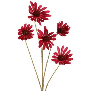 Black Eyed Susan Stem 82Cm Beauty by Florabelle Living, a Plants for sale on Style Sourcebook