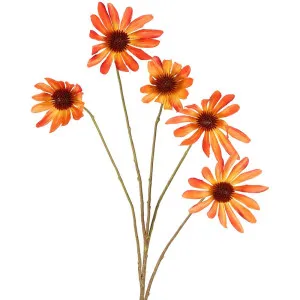 Black Eyed Susan Stem 82Cm Orange by Florabelle Living, a Plants for sale on Style Sourcebook