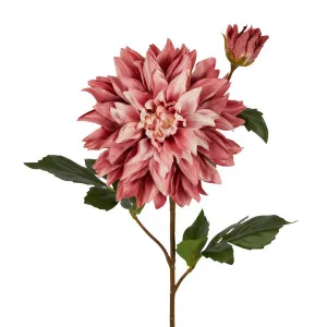 Dahlia Stem 78Cm Pink by Florabelle Living, a Plants for sale on Style Sourcebook