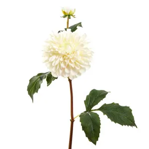 Dahlia Short Stem 50Cm White by Florabelle Living, a Plants for sale on Style Sourcebook
