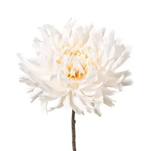 Dahlia Spray 56Cm Cream by Florabelle Living, a Plants for sale on Style Sourcebook
