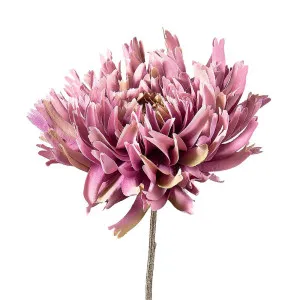 Dahlia Spray 56Cm Dark Pink by Florabelle Living, a Plants for sale on Style Sourcebook