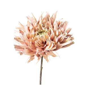 Dahlia Spray 56Cm Light Pink by Florabelle Living, a Plants for sale on Style Sourcebook
