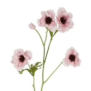 Anenome Stem 90Cm Pink by Florabelle Living, a Plants for sale on Style Sourcebook