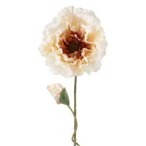 Poppy Stem 75Cm White by Florabelle Living, a Plants for sale on Style Sourcebook