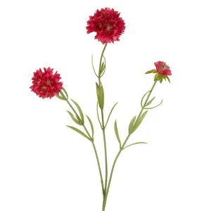 Scabiosa Stem 60Cm Dark Pink by Florabelle Living, a Plants for sale on Style Sourcebook