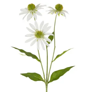 Black Eye Susan Stem 65Cm White by Florabelle Living, a Plants for sale on Style Sourcebook