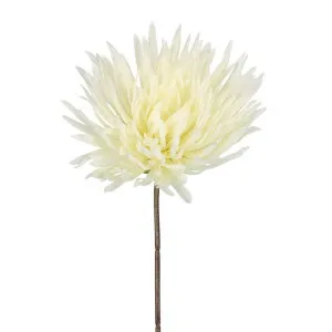 Mum Stem 71Cm White by Florabelle Living, a Plants for sale on Style Sourcebook