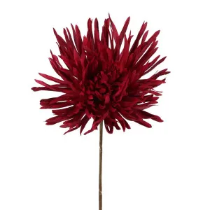 Mum Stem 71Cm Burgundy by Florabelle Living, a Plants for sale on Style Sourcebook