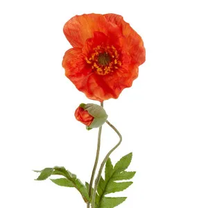 Poppy Stem 68Cm Orange by Florabelle Living, a Plants for sale on Style Sourcebook