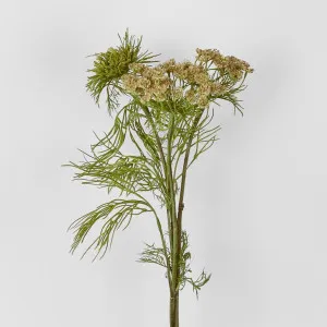 Queen Anne Lace Spray 79Cm by Florabelle Living, a Plants for sale on Style Sourcebook
