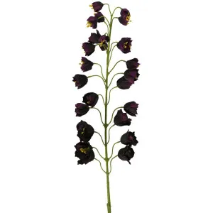 Fritteiaria Spray 112Cm Purple by Florabelle Living, a Plants for sale on Style Sourcebook