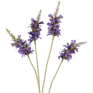 Salvia Nutans Sage Spray 84Cm Lavender by Florabelle Living, a Plants for sale on Style Sourcebook