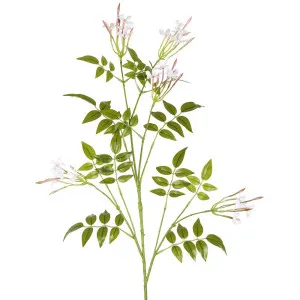 Jasmine Spray 102Cm White by Florabelle Living, a Plants for sale on Style Sourcebook