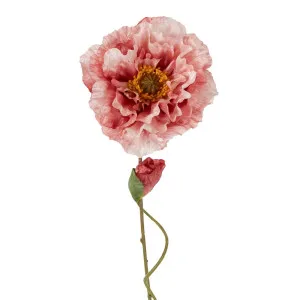Poppy Stem 75Cm Pink by Florabelle Living, a Plants for sale on Style Sourcebook