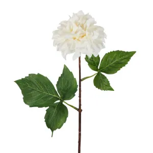 Dried Look Dahlia Stem Cream Small 43Cm by Florabelle Living, a Plants for sale on Style Sourcebook