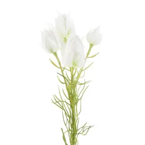 Blushing Bride 54Cm Cream by Florabelle Living, a Plants for sale on Style Sourcebook