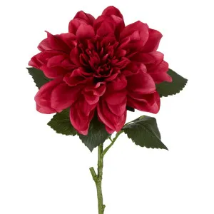Giant Dahlia Stem 70Cm Dark Pink by Florabelle Living, a Plants for sale on Style Sourcebook