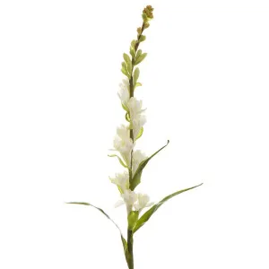Tuberose Spray 80Cm Cream by Florabelle Living, a Plants for sale on Style Sourcebook