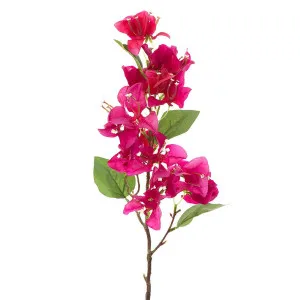 Bougainvillea Spray 75Cm Fuchsia by Florabelle Living, a Plants for sale on Style Sourcebook
