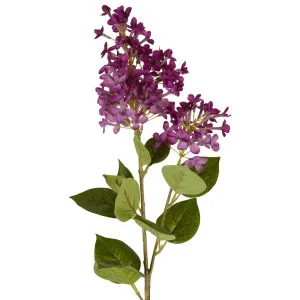 Lilac Spray 72Cm by Florabelle Living, a Plants for sale on Style Sourcebook