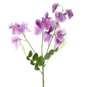 Sweetpea Spray 70Cm Lavender by Florabelle Living, a Plants for sale on Style Sourcebook