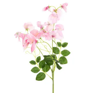 Sweetpea Spray 70Cm Pink by Florabelle Living, a Plants for sale on Style Sourcebook