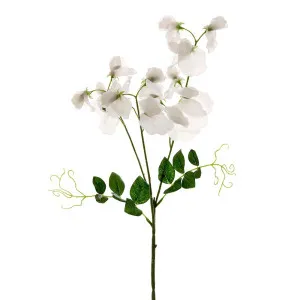Sweetpea Spray 70Cm White by Florabelle Living, a Plants for sale on Style Sourcebook