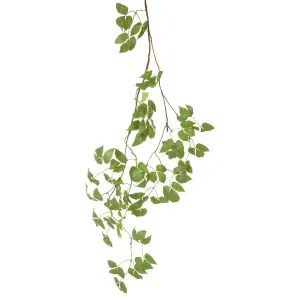 Boston Ivy 150Cm by Florabelle Living, a Christmas for sale on Style Sourcebook