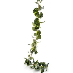 Pothos Garland 1.8M by Florabelle Living, a Christmas for sale on Style Sourcebook
