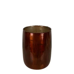 Dannika Glass Vase Amber Large by Florabelle Living, a Vases & Jars for sale on Style Sourcebook