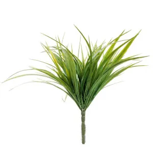 Grass Plant 34Cm Light Green by Florabelle Living, a Plants for sale on Style Sourcebook