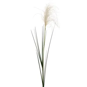 Reed Grass Spray 74Cm by Florabelle Living, a Plants for sale on Style Sourcebook
