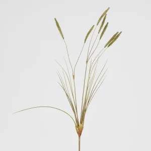Foxtail Spray Green by Florabelle Living, a Plants for sale on Style Sourcebook