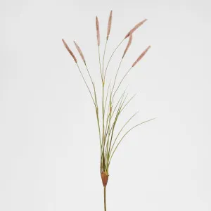 Foxtail Spray Pink by Florabelle Living, a Plants for sale on Style Sourcebook