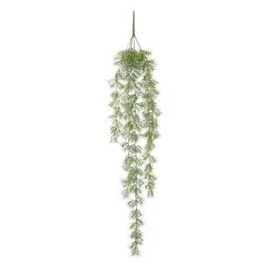 Grass Hanging 1.1M by Florabelle Living, a Plants for sale on Style Sourcebook