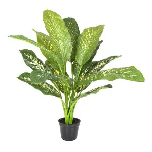 Cane Plant Real Touch In Pot Medium 63Cm by Florabelle Living, a Plants for sale on Style Sourcebook