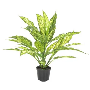 Dracaena Plant Real Touch In Pot 39Cm by Florabelle Living, a Plants for sale on Style Sourcebook