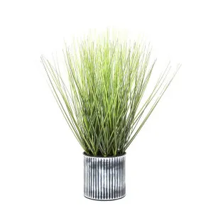 Grass In Pot 48Cm by Florabelle Living, a Plants for sale on Style Sourcebook