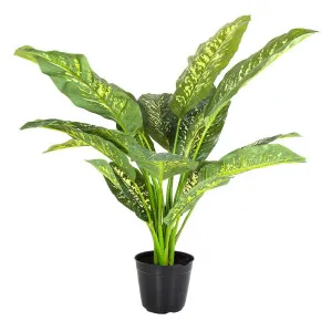 Cane Plant Real Touch In Pot Large 85Cm by Florabelle Living, a Plants for sale on Style Sourcebook