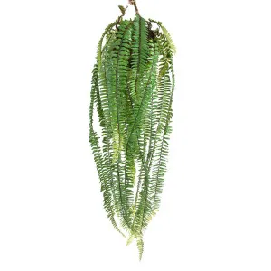 Large Hanging Fern 1M Green by Florabelle Living, a Plants for sale on Style Sourcebook
